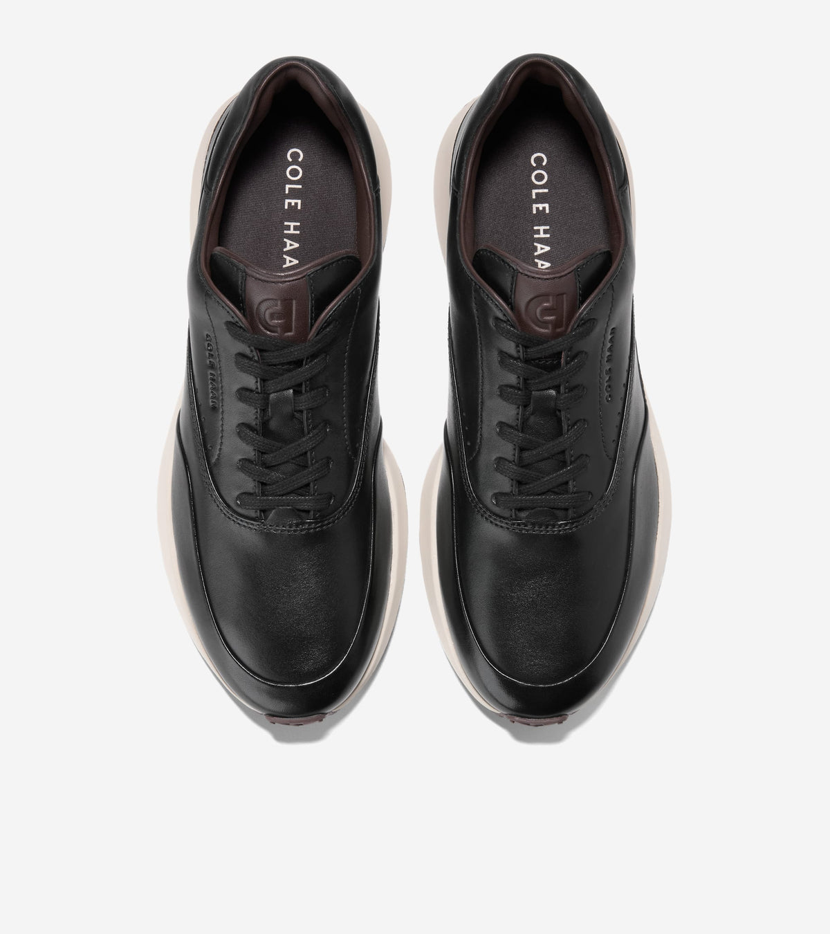 C43189:BLACK / CH MADEIRA / ANGORA