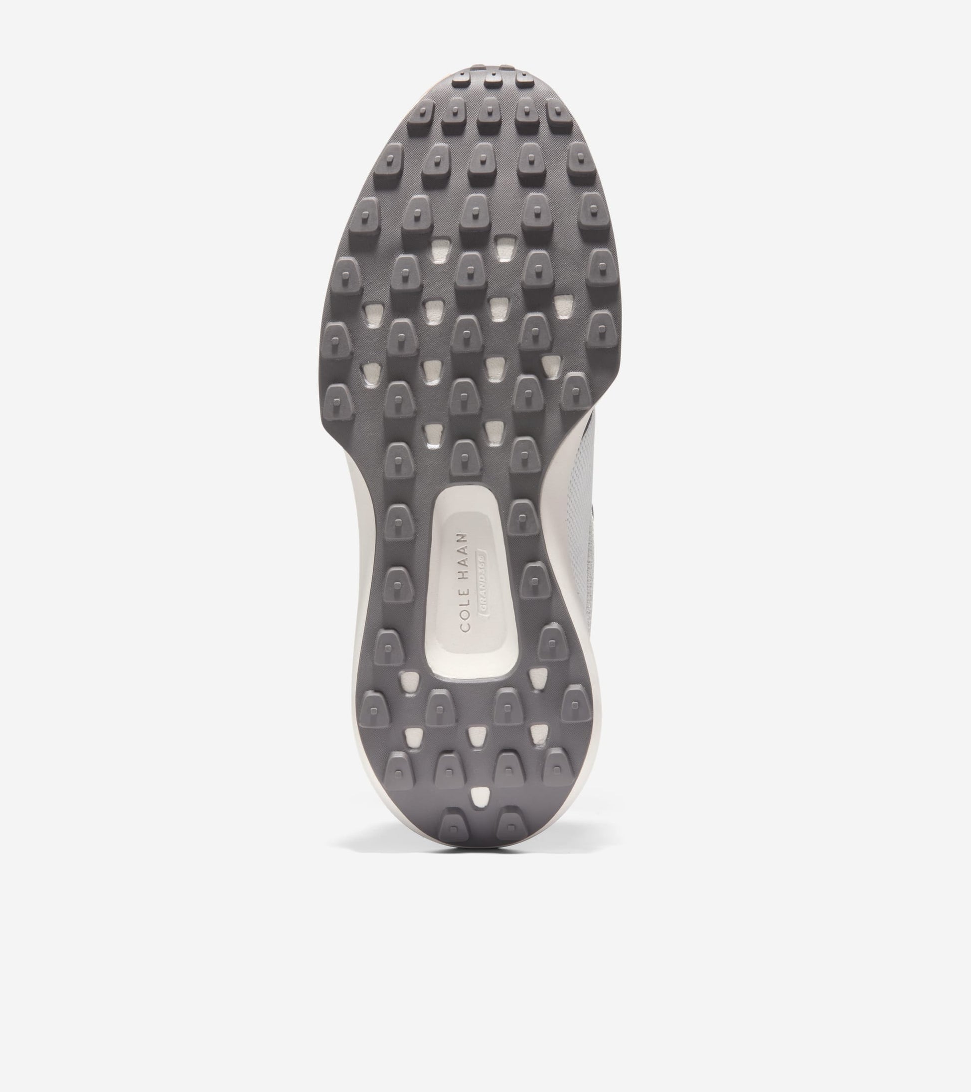 C43757:OYSTER MUSHROOM / CH LT WHISKEY / SILVER BIRCH